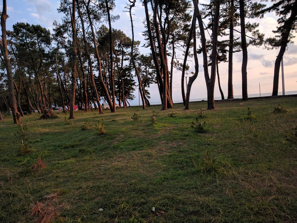 Kobuleti Pines Resort エクステリア 写真